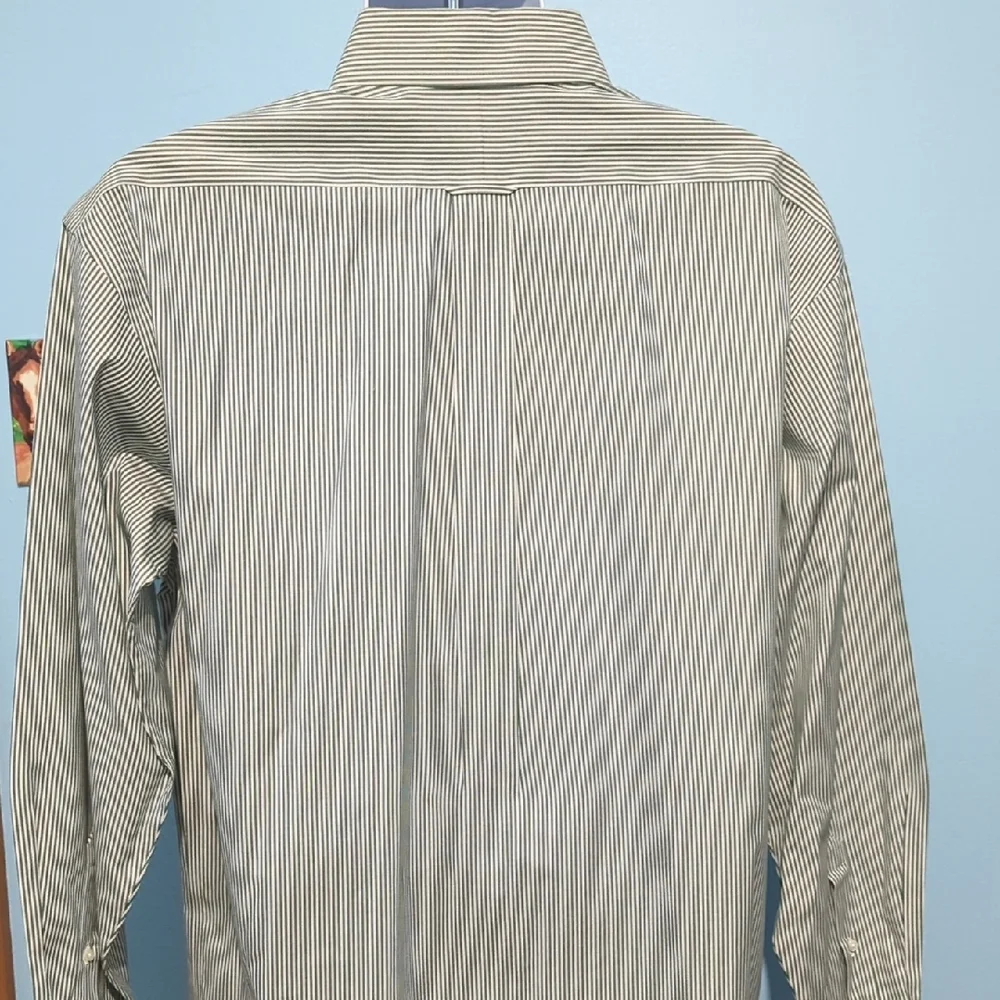 Roundtree & Yorke Men's Sage Striped Button Down Shirt